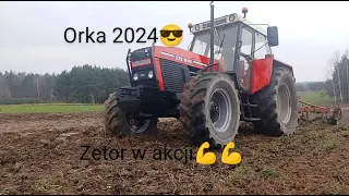 orka oreczka orunia 2024 zetorem 16145