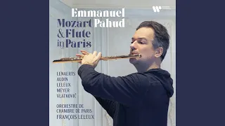 Flute Concertino, Op. 107