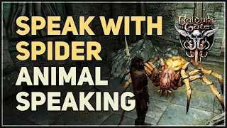 Speaking with Giant Spiders Baldur's Gate 3 Animal Speaking