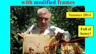 Effective Healthy Beehive? Effective Beehive of Vasyl Priyatelenko (Ukraine)