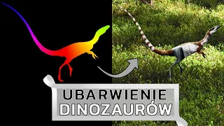 Sinozauropteryks czyli jakiego KOLORU były dinozaury?!