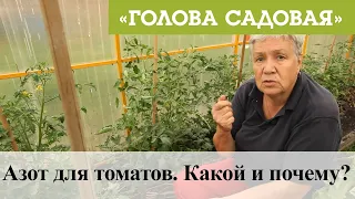 Голова садовая - Азот для томатов. Какой и почему?