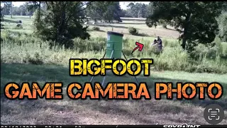 Bigfoot Photo From East Texas Sheriff's Office