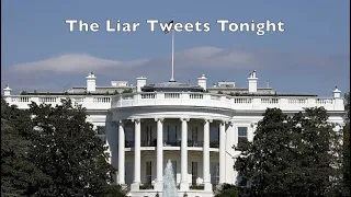 The Liar Tweets Tonight