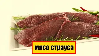 МЯСО СТРАУСА НА ВКУС ПОЛЕЗНИ СВОЙСТВА || МЯСО СТРАУСА