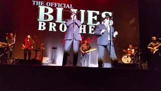 The Blues Brothers Revue - Gimme Some Lovin'