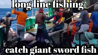 long line fishing catch giant sword fish#taiwan fishing vessel#rod mata