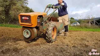 Goldoni 130 special- Motocoltivatore Goldoni 130 special  small tractor at work