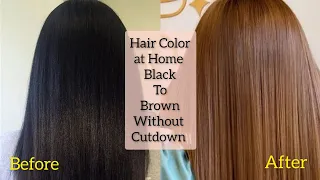 How To Apply Hair Color at Home || Black To Brown Hair Without Cutdown || Keune Hair Color