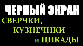 Поющие Сверчки и Кузнечики  / ЧЕРНЫЙ ЭКРАН для сна / БЕЛЫЙ ШУМ / Звуки для сна / Быстро Заснуть