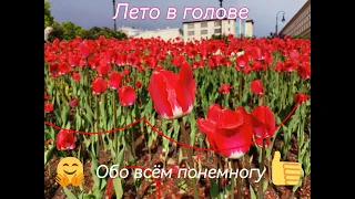 Поэтическая страничка, стихотворное слайд шоу - "Лето в голове"🌞🌼