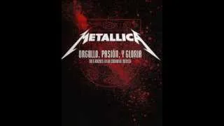 Metallica Disposable Heroes Live Mexico City 2009 (audio 1080p)