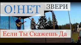 Если ты скажешь да (Звери) - О!нет | М4