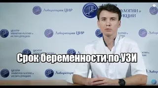 Срок беременности по УЗИ, рассказывает А.А.Бикбулатов