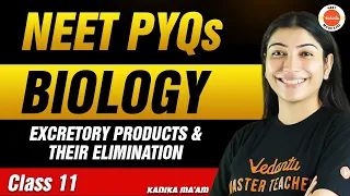 NEET PYQs for Excretory Products and Their Elimination | Class 11 Biology | NEET 2024