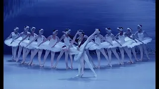 Swan Lake 2022, Brevard Ballet Youth Company (FL), Artistic Director - Elena Shokhina