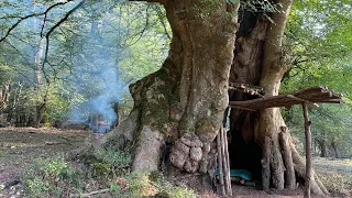 Building Complete And Warm Survival Shelter In The Trunk , Bushcraft Tree Hut & Fireplace With Dirt