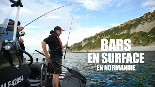 Pêche du bar au leurre de surface en Normandie : immersion avec Bruno Pebe et Pierre Guillard.