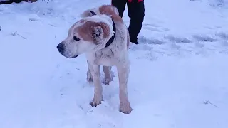 He left the house in sadness when the owner lied about everything