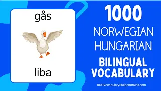 Learn Norwegian Hungarian 1000 Bilingual Vocabulary for Beginners   Lære Norsk Ungarsk