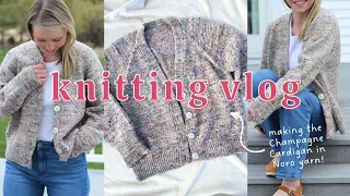 The Making of the Champagne Cardigan with Noro Madara yarn | A Knitting Vlog