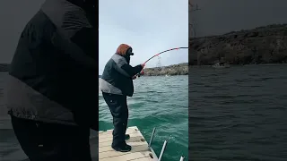 Snake River sturgeon catch full fight vid