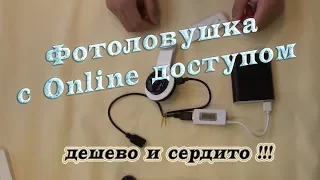 Фотоловушка с Online (камера для охоты лучший вариант)