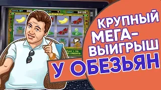 Победил Вулкан казино! Автомат Обезьяна выдал крупный мега выигрыш