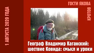 Владимир Каганский о пандемии