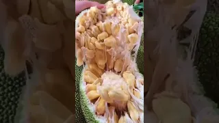 It is not Jackfruit, I believe, because it is sticky 🤨