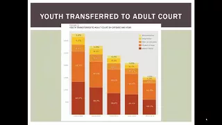 Treatment of Juvenile Offenders