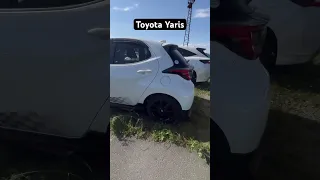 Toyota Yaris. Обзор цен сентябрь 2023 года. Авторынок зеленый угол. Владивосток.