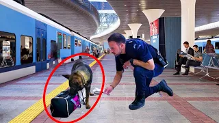 Dog Suddenly Runs Towards A Suitcase. Airport Police Open It And Couldn't Help Screaming!