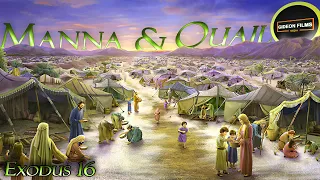 Manna and Quail | Exodus 16 | Moses | Aaron | God gave Manna to Israelites in the Wilderness desert