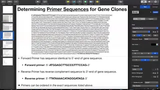 Primer Design for Cloning ENTIRE Gene Sequence