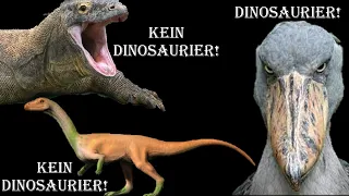 Vom Dino zum Vogel Teil 1: Was sind Dinosaurier? (English Subs)