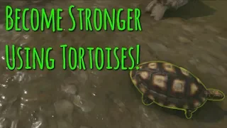 How To Become Stronger Using Tortoises! | Green Hell