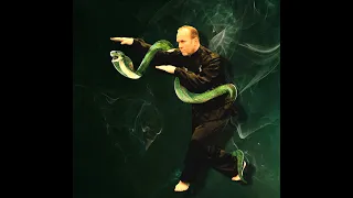 Бокс Змеи, стиль кобры, готовим змею, легенда и танец Змеи