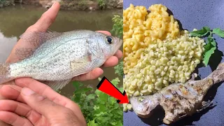 Crappie Catch And Cook【The Best Tasting Freshwater Fish】