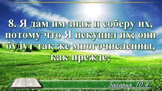 ВидеоБиблия Книга пророка Захарии глава 10 Бондаренко