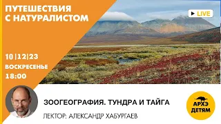 Детский эфир "Зоогеография. Тундра и тайга" рубрики "Путешествия с натуралистом" Александр Хабургаев