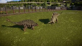 Ankylosaurus Vs Stegosaurus! battle of the armoured herbivores