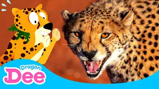 Cheetah the Fastest! 🐆 | Cheetah Run | Animal Rush 2 | Animal Songs🐾 | Dragon Dee Songs for Children