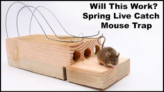 Can I Turned This 400 Year Old Style Spring Mouse Trap Into A Live Catch Trap? Mousetrap Monday