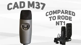 CAD M37 Condenser Microphone Review / Demo & Comparison to Rode NT1