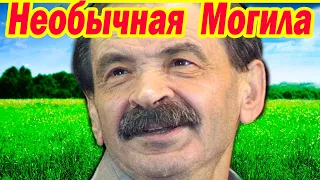 Как ВЫГЛЯДИТ НЕОБЫЧНАЯ Могила звезды телепередачи "Городок" Ильи Олейникова