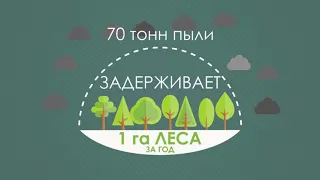 День Леса | 21 марта!!!