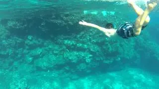 Sea Turtle in Maui with Gopro Hero 2