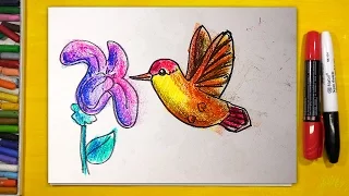 Как нарисовать КОЛИБРИ, Урок рисования для детей от 3 лет | Раскраска для детей