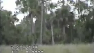 Dave Shealy's 2000 Skunk Ape Footage